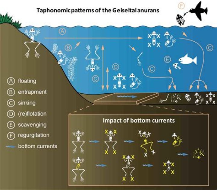 Unravel The Enigma & Gain Insights