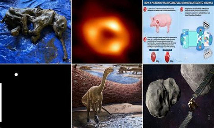 Unveiling Muni Long's Net Worth: Discoveries And Insights