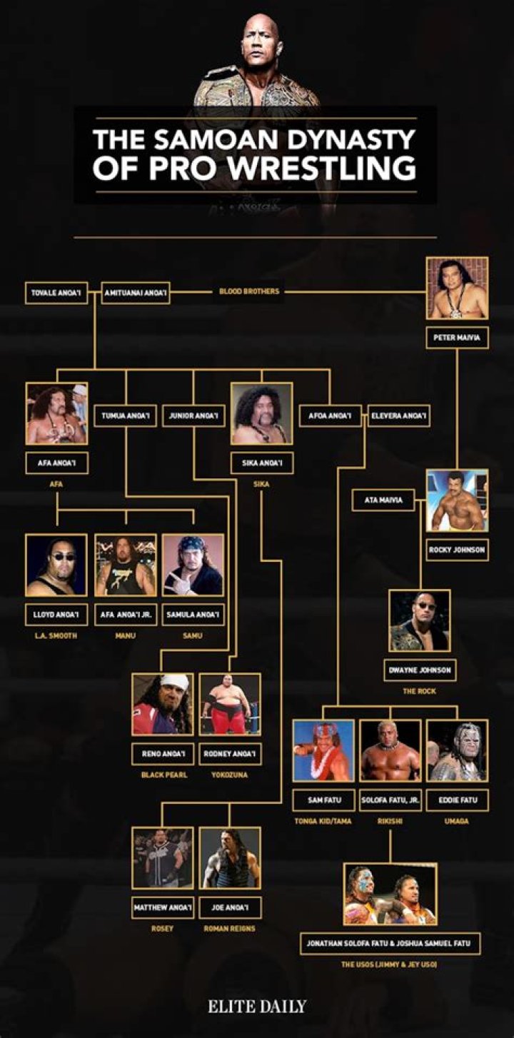 Unveiling The Ric Flair Family: A Wrestling Dynasty Unveiled